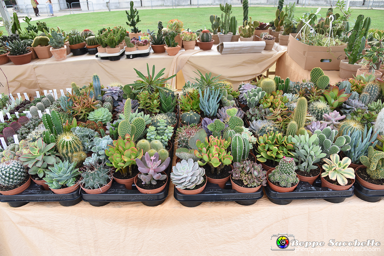 VBS_3474 - Floreal 2023 - Vivere con le piante.jpg